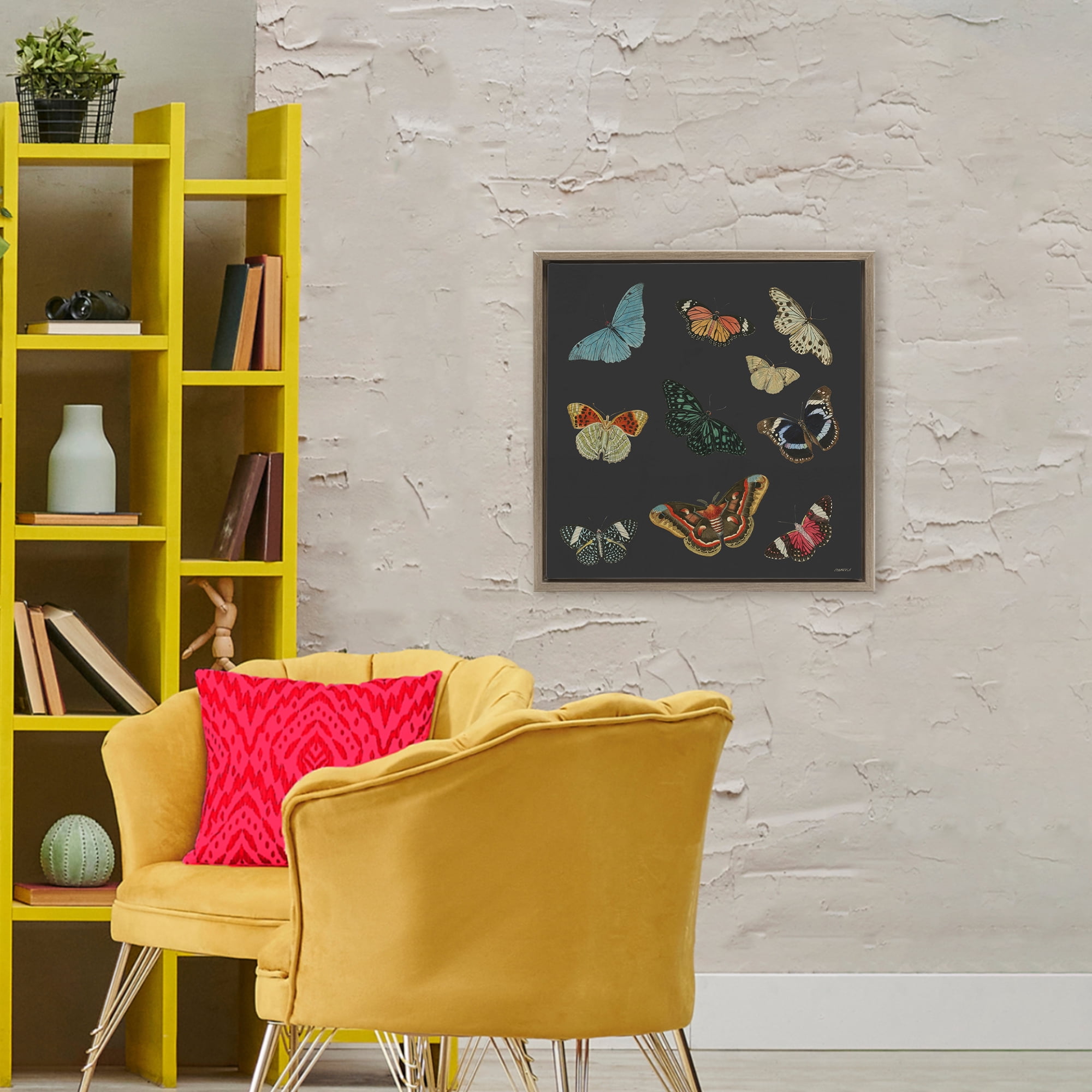 Stupell Industries Insects Group on Black Brown Framed Floater Canvas Wall Art, design by Dan Meneely