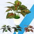thumbnail image 4 of Flmtop Simulated Potted Plant Artificial Fake Bonsai Home Desktop Ornament, 4 of 7
