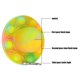thumbnail image 4 of De Burbujas Brillantes Juguete De Descompresión De Luz Nocturna De Silicona Regalo Para Niños Y Adultos Minnieouse HA039937-01, 4 of 5