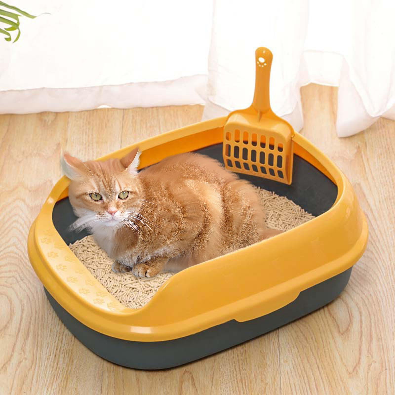 Frogued Pet Cat Kitten Litter Box Case Teddy Toilet Tray Shovel