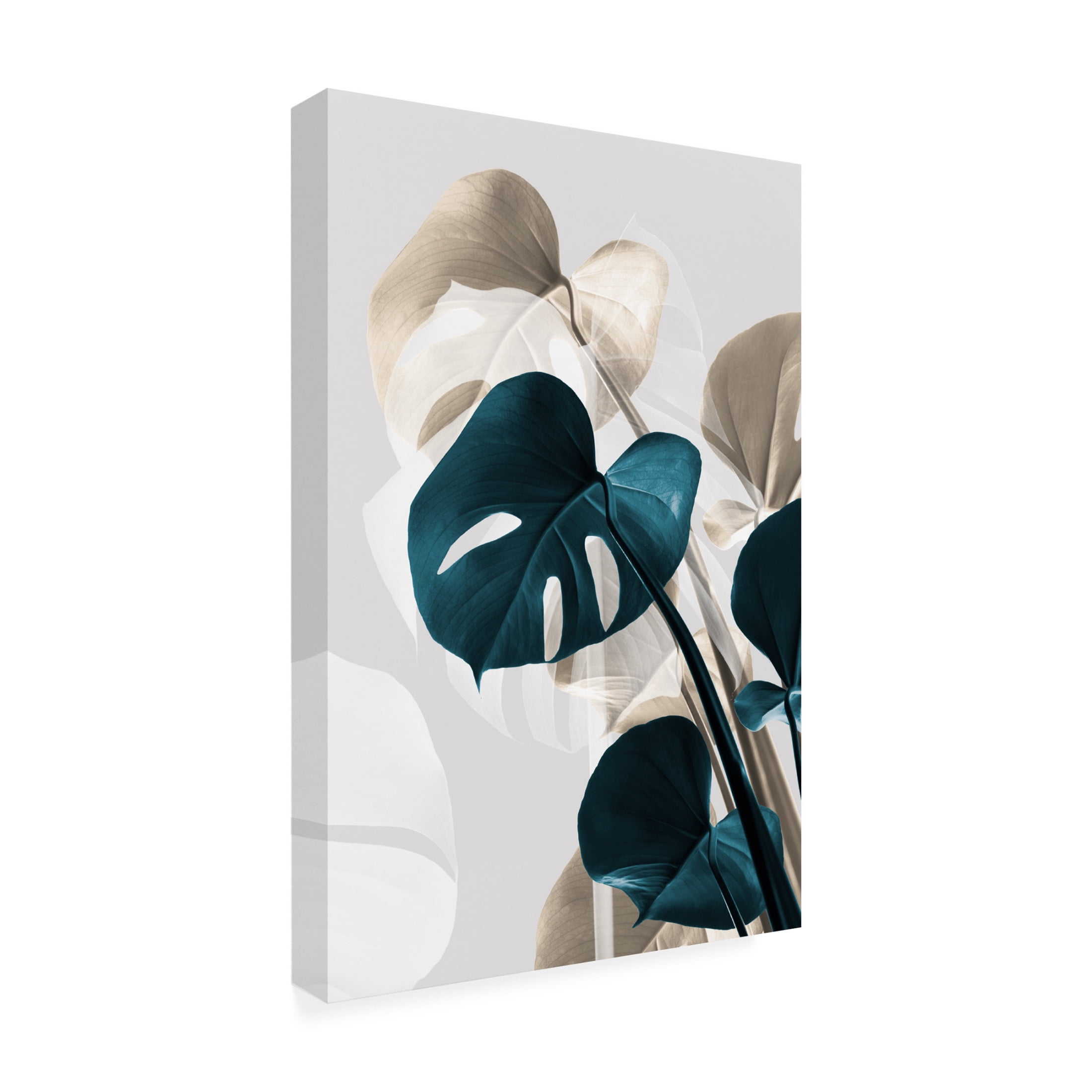 Trademark Fine Art Pictufy Studio Monstera Creative 10 Canvas Wall Art