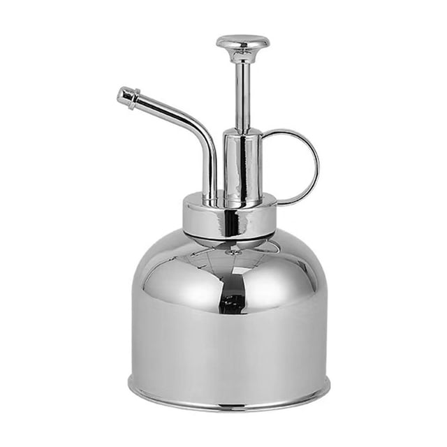 Arrosoir en Acier Inoxydable 304 Rétro Doré Petit Mini Manuel pour Plantes Succulentes