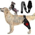 thumbnail image 2 of Dog Elbow Brace, Dog Compression Knee Brace, Elbow And Shoulder Support, Dysplasia, Arthritis, Elbow Calluses, Pressure Sores, Shoulder Dislocation--(M), 2 of 5