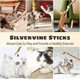 thumbnail image 4 of 6-Pack Natural Cat Chew Sticks, Interactive Chew Toys for Kittens, Silver Vine Sticks Dental Care Catnip Teeth Cleaning Chew Toys, 4 of 5