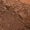 Dark Brown, variant on Women'S Lace Underwire Boned Sheer Crop Top Slim Fit Layering Inner Wear Camisole Dark Brown L