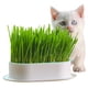thumbnail image 5 of Pet Cat Grass Hydroponic Growing para Facilitar El Crecimiento () Azul, 5 of 9