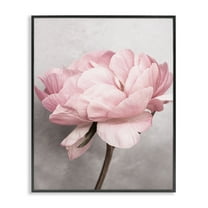 Stupell Industries Blooming Vintage Peony Plants & Flowers Painting Black Framed Art Print Wall Art, 16 x 20