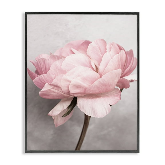 Stupell Industries Blooming Vintage Peony Plants & Flowers Painting Black Framed Art Print Wall Art, 16 x 20