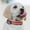 RDS, variant on Dvkptbk Light Up Dog Collar, USB Rechargeable LED Pet Collars Waterproof Glowing Dog Collar for Small Medium Large Dogs Night Walking (Orange Large)