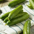 thumbnail image 4 of Back to the Roots Organic Straight Eight Slicing Cucumber Seeds, 1 Seed Packet, 4 of 18