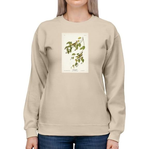 Carbonated Warbler Sweatshirt Women -John James Audubon Designs, Female x-Large