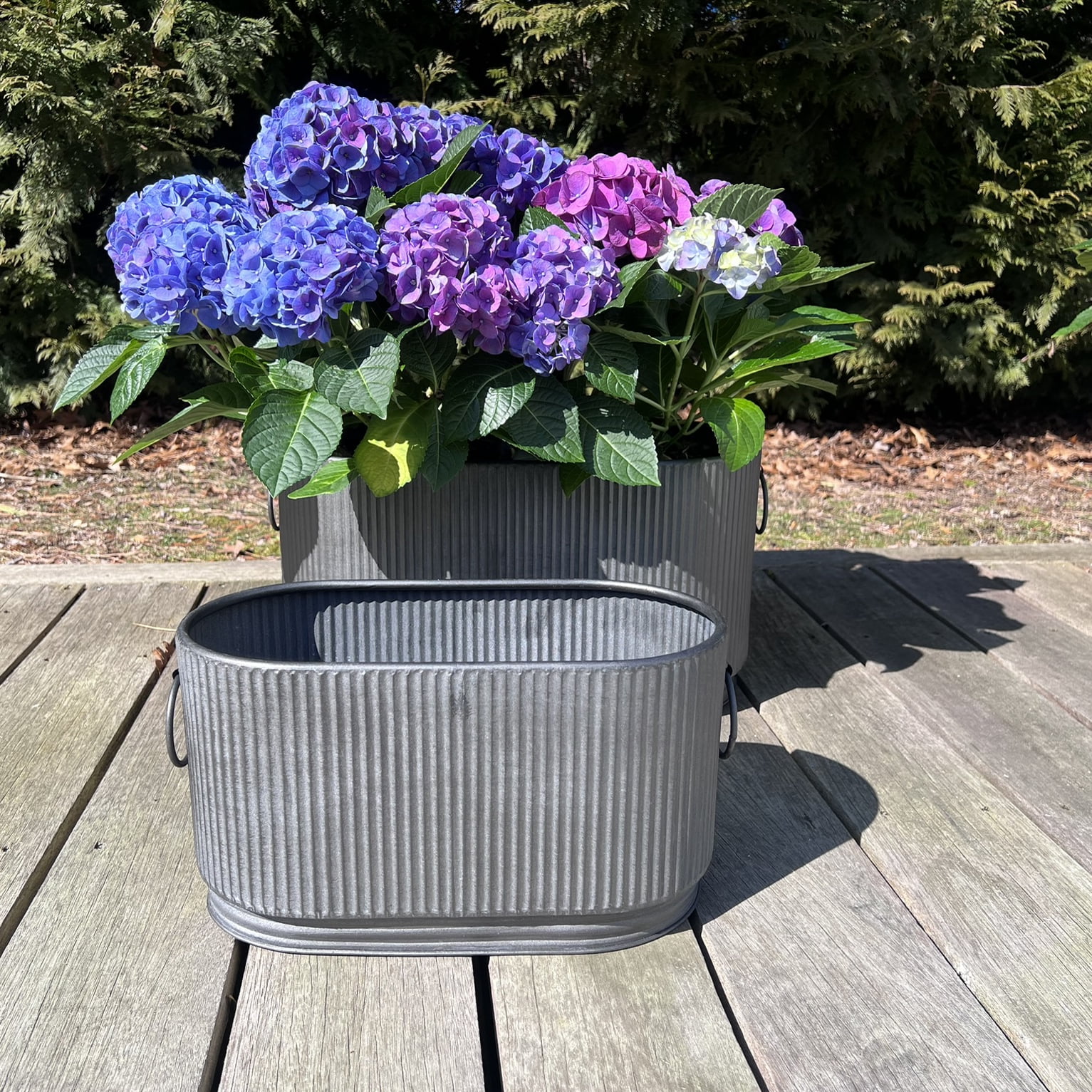 WHW Whole House Worlds French Country Style Oval Planters, Set of 2, Corrugated Bellies, Stepped Base, Rolled Rims, 14.25 and 18.5 Inches, Iron