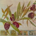 thumbnail image 3 of Richter-Armgart, Rose 12x12 Black Modern Framed Museum Art Print Titled - Olive II, 3 of 5
