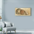 thumbnail image 3 of Trademark Fine Art 'Woven Vessels I Crop' Canvas Art by Albena Hristova, 3 of 3