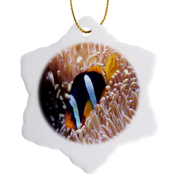 3drose, Clown Fish N Anemones, 3 inch Snowflake Porcelain Ornament