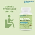 thumbnail image 3 of Puregen Labs Senna 1000 Tablets 8.6 mg Natural Sennosides Vegetable Laxative for Constipation, Bloating, Gas, Irregularity Relief, 3 of 7