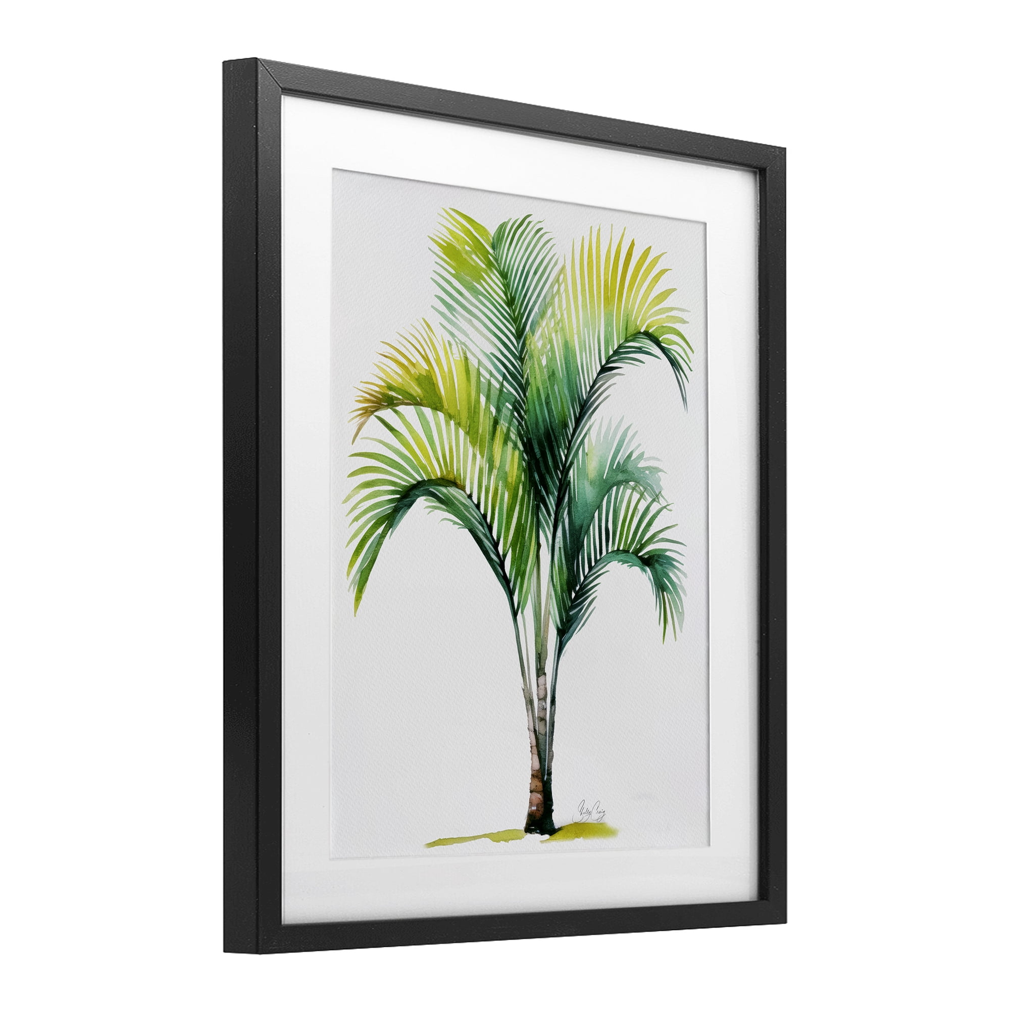 Stupell Industries Coastal Canopy Palm Tree Black Framed Print Under Glass, design by Shelly Craig