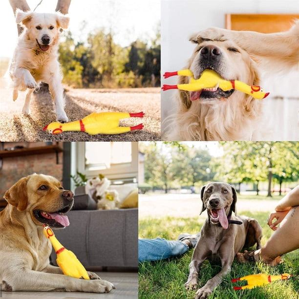 XFLYP Pollo Gritón 2 Piezas: Juguete De Goma Chillón De 32cm Para Aliviar Estrés, Bromas Y Mascotas (Amarillo)