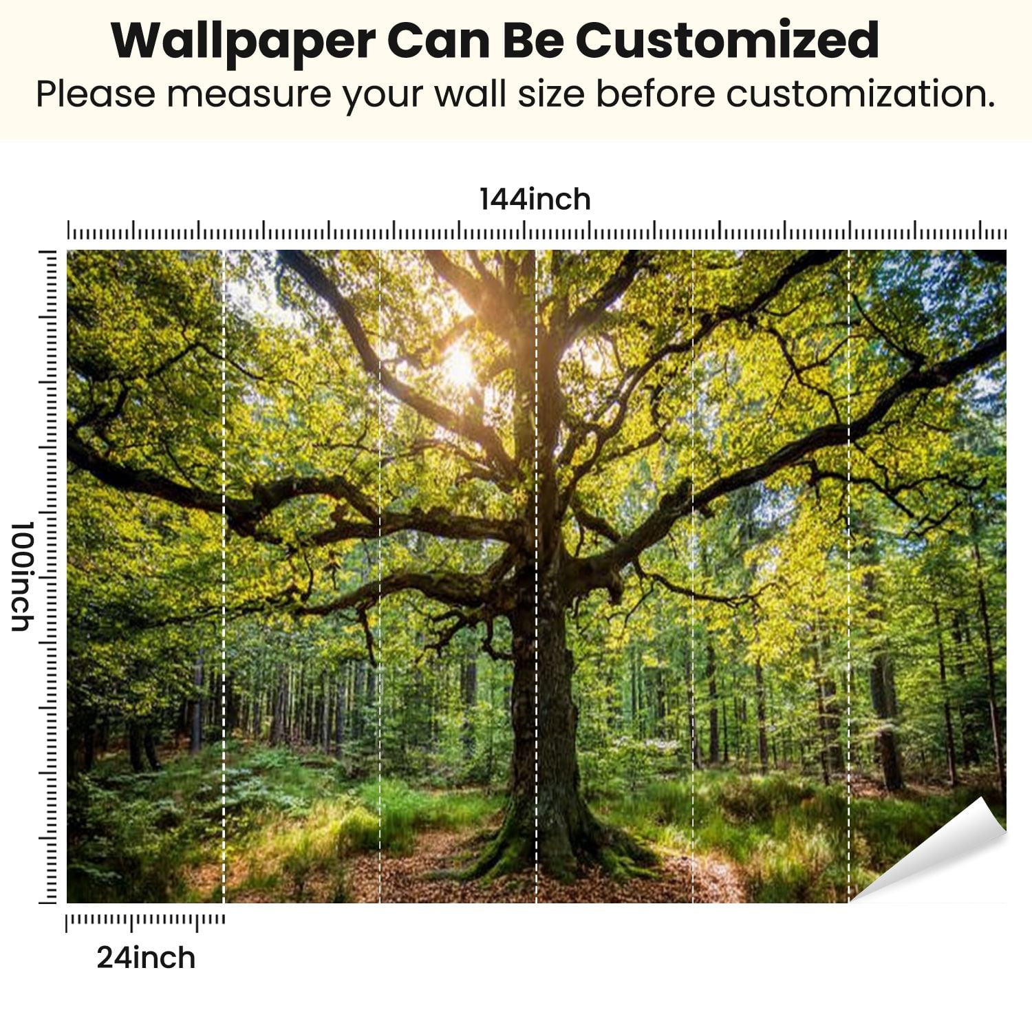 Peel and Stick Wallpaper Old oak tree forest Modern Art Wall Mural Decor Self Adhesive and Removable 100in x 144in