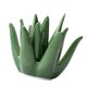 thumbnail image 5 of Soporte de cerámica para anillos de Aloe, soporte de exhibición para regalo, organizador de joyas, plato de anillo para mesita de noche, gabinete,, 5 of 8