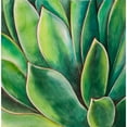thumbnail image 3 of Atelier B Art Studio 15x15 Black Modern Framed Museum Art Print Titled - Watercolor Agave Plant, 3 of 5