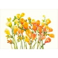 thumbnail image 2 of OToole, Tim 14x11 White Modern Wood Framed Museum Art Print Titled - Freesia I, 2 of 4