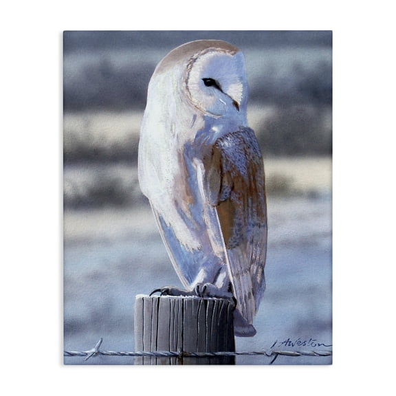 Stupell Industries Traditional Serene Barn Owl Perched Snow Dusted Fence Canvas Art, 16 x 20, by Alan Weston