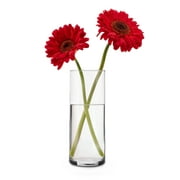 Libbey Clear Glass Cylinder Floral Vase, 15