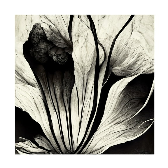 Canvas Wall Art - Ray Heere 'Flowers Black White 3' Wall Art for Living Room, Bedroom, or Office Décor by Trademark Fine Art - 14 x 14 Inches
