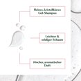 thumbnail image 4 of Champú Rene Furterer NEOPUR para equilibrar el cuero cabelludo, 150 ml, 4 of 9
