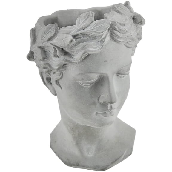 Gray Young Girl Bust Planter Indoor Outdoor Decor Cement Pot Beautiful Woman Face Greek Sculpture Flower Hair 7" x 7" x 10"