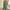 Green, variant on HOMBOM Army Green Women Jumpsuits and Rompers Elegant Sleeveless Rompers Round Neck Solid Color Jumpsuit Shorts 3XL