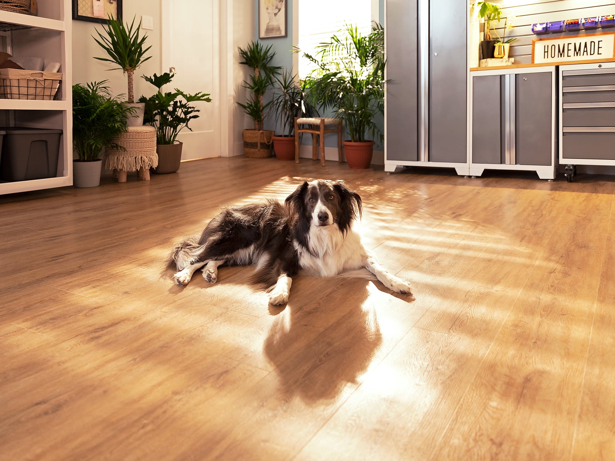 NewAge Products Vinyl Plank Flooring - 800 sqft - Natural Oak