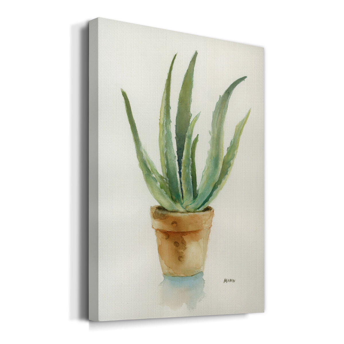 Succulent IV Premium Gallery Wrapped Canvas - Ready to Hang