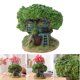 thumbnail image 4 of Maceta suculenta Baoblaze Resina pequeña para plantación de Bonsai con orificio de drenaje, 4 of 8