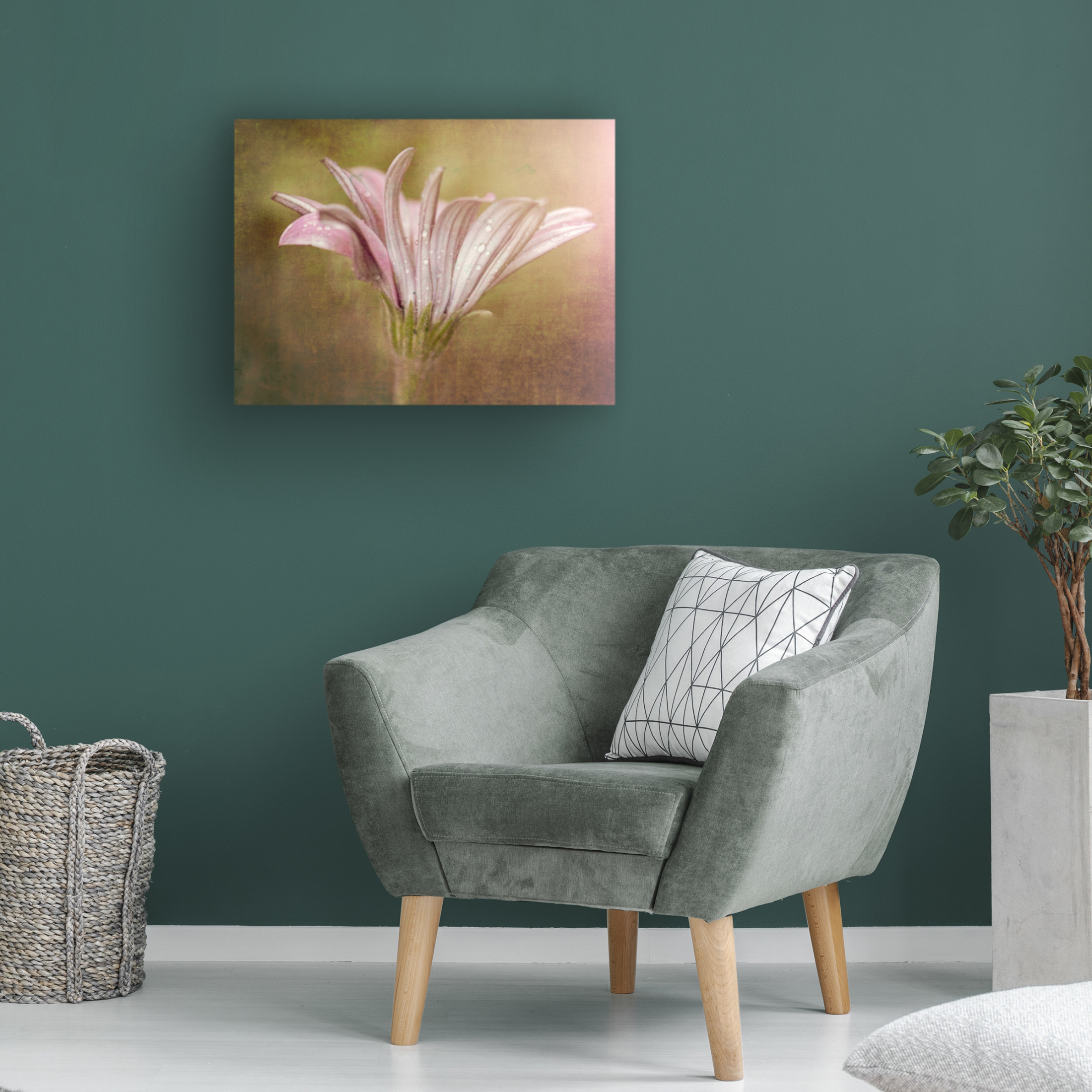 Trademark Fine Art Susan Moss Pretty in Pink Canvas Wall Art