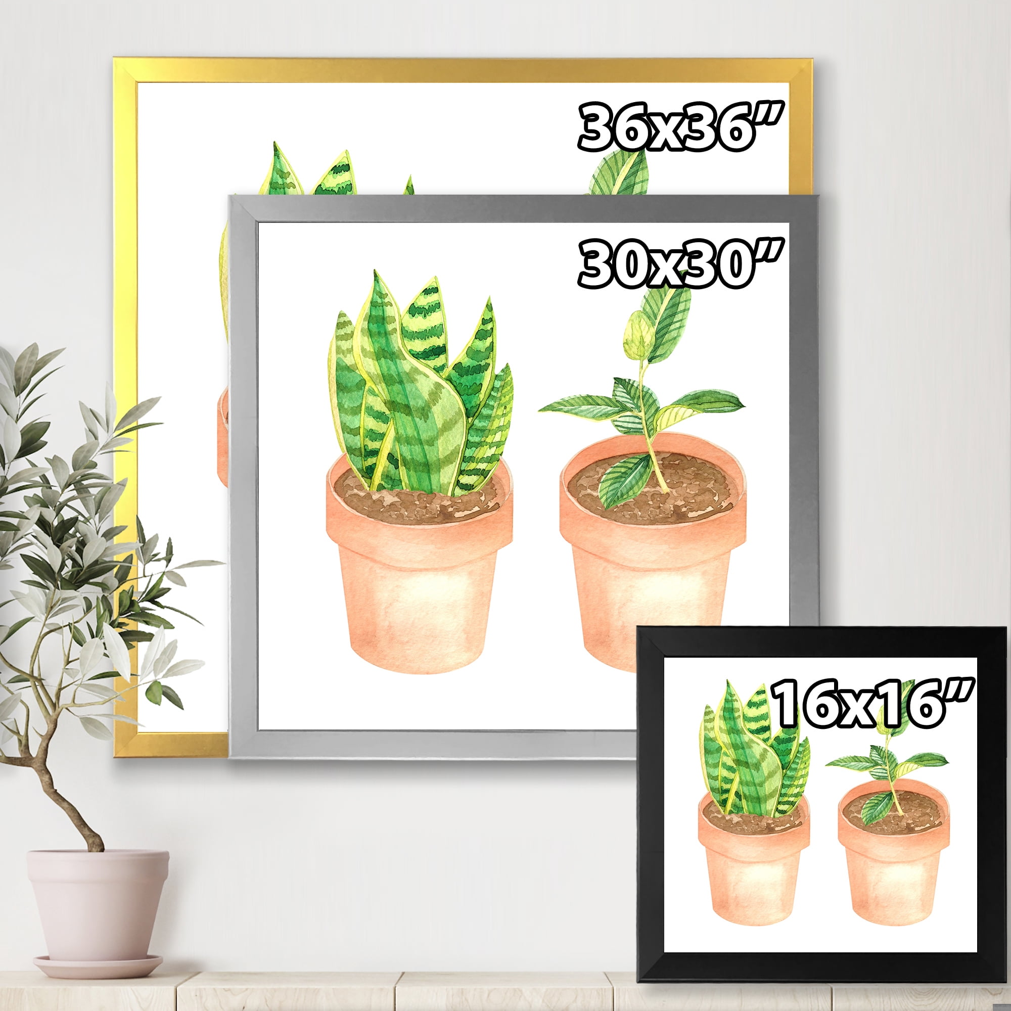 Designart 'Ficus and Sansevieria Indoor Green Home House Plants' Traditional Framed Art Print