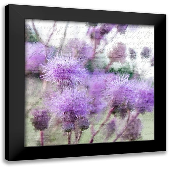 Kimberly, Allen 20x20 Black Modern Framed Museum Art Print Titled - Purple Thistle 2