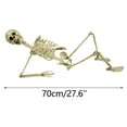 thumbnail image 3 of Agiferg Halloween Skeleton Prop Human Full Size Skull Hand Life Body Anatomy Model Decor, 3 of 9