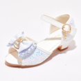 thumbnail image 2 of Girls Dress Shoes Princess High Heels Closed Toe Party Wedding Flower Girls Shoes Toddler Little Big Kid tacones para niÃ±as, 2 of 5