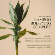 LANZA Healing Volume Shampoo
