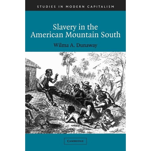 Studies in Modern Capitalism Slavery in the American Mountain South, (Paperback)