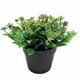 thumbnail image 1 of Planta artificial flor artificial hoja pequeña sándalo rojo colorante en maceta bonsai planta de simulación flor de algas acuáticas decoración del hogar simulación bonsái (rosa) Sailing Electrónica, 1 of 5