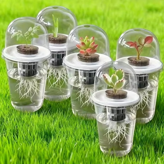 5 Pack Clear Hydroponic Nursery Kit, Transparent Plant Starter Hydroponic Pots for Seed Starting, Hydroponic System for Nursery