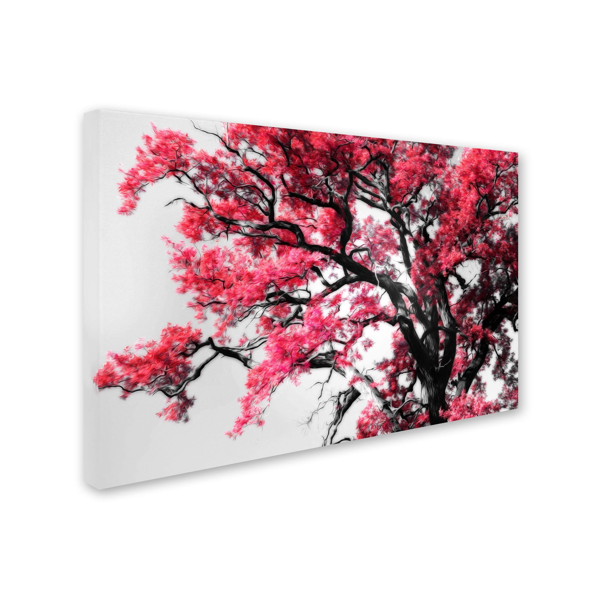 Trademark Fine Art "Glowing Tones" Canvas Art by Philippe Sainte-Laudy