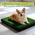 thumbnail image 3 of Dog Grass Pad with Tray, 20x25 Inch Artificial Turf Puppy Potty Pad, Indoor Outdoor Dog Toilet with Pull-Out Drawer & Free Garbage Bags, Dogg Litter Box for Potty Training, 3 of 8