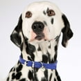 thumbnail image 5 of Minimalist Candy Color Pet Collar Adjustable Leather Neckband for Cats and Dogs with Secure Buckle Design, 5 of 5