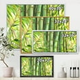 thumbnail image 4 of Designart 'Bright and Green Bamboo Stems' Transitional Framed Canvas Wall Art Print, 4 of 5