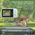 thumbnail image 3 of Smart Bird Feeder with Camera, HD Live Birds Feeders For Outdoors, Smart Solar Bird AI & Panel, Identification Weatherp, 3 of 8