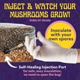 thumbnail image 3 of 2 LB 2-Pack All-in-One Grow Kit: Up to 64oz of Mushrooms! Nutrient-Enhanced, Injection Port, Just Add Your Own Spores & Grow Like Magic (2 x 2 LB Bags), 3 of 10
